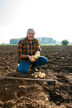 Farmer working in field, holding potatoes and looking at camera, Germany