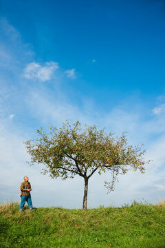 Farmer standing in field, inspecting apple tree, Germany
