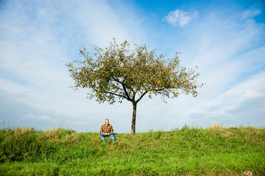 Farmer sitting on hill next to apple tree, eating apple, Germany