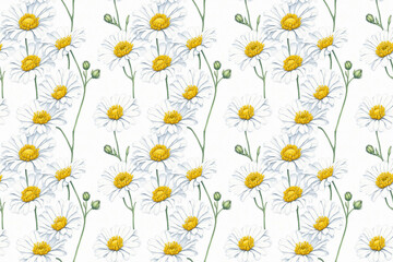 Watercolor Chamomile isolated on a white background. Seamless pattern. Modern stylish abstract texture.