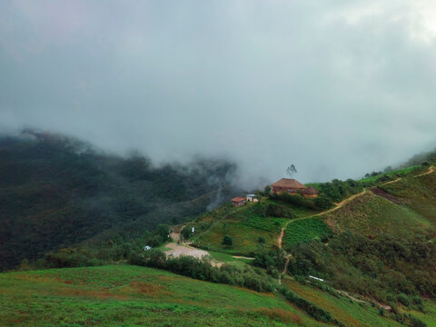 Foto del Bosque Monte Potrero ubicado en Umari Pachitea Per&uacute;