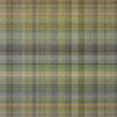 Tartan seamless pattern. Traditional gingham texture for natural trendy wallpaper. All over print of checkered kitchen cloth. 