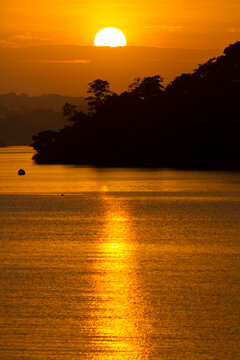 Golden sunrise over Barro Colorado Island in Gatun Lake of the Panama Canal; Panama
