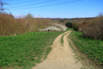 Fototapeta na wymiar A footpath through the North Kent Countryside at Jeskyns Park