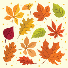 Fototapeta na wymiar Vector set of simple decorative autumn leaf silhouettes. The flat style leaves oak, maple, birch, and rowan illustration