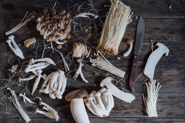 Various edible Asian mushrooms. Enoki, shimeji, shiitake, tea tree, royal oyster mushrooms. Set of vegetables. Dark photo natural light.  - obrazy, fototapety, plakaty