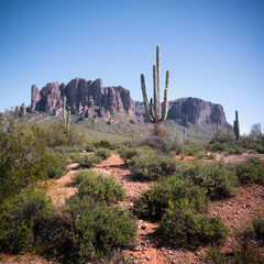 Arizona Superstition Mountains Desert Landscape