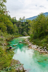 Beautiful turquoise Soca river valley in a forest with mountains in Slovenia. Perfect summer day.