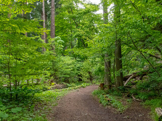 5月の西岡公園（北海道札幌市豊平区）