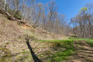 wooded land in mountains aerial