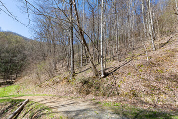 wooded land in mountains aerial