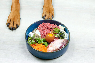 Natural Raw organic dog food in bowl and dogs paws on grey background. BARF Diet for dogs Raw meat,...