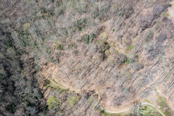 wooded land in mountains aerial