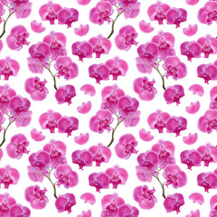 Watercolor illustration of seamless pattern with orchid flowers isolated on white background.