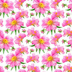 Obraz na płótnie Canvas Watercolor illustration of seamless pattern with peony flowers isolated on white background.