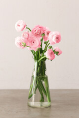 Vase with pink ranunculus flowers on table against light background