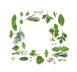 Frame made of aromatic herbs on white background