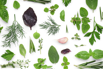 Assortment of fresh herbs on white background