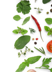 Composition with fresh aromatic herbs and spices on white background, closeup