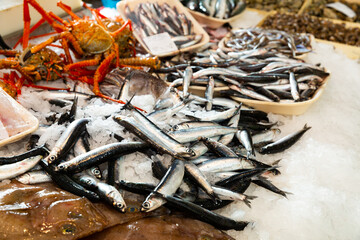 Fresh anchovies for sale at market