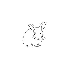 vector illustration of cute white rabbit