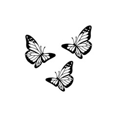 vector illustration of three butterflies