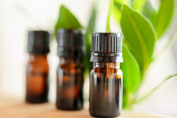Laurel leaf oil bottles set on wood table with green sprigs of bay leaf. Aromatherapy and essential natural oils