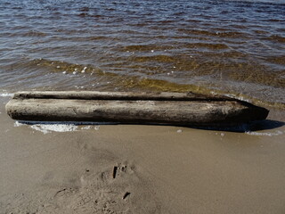 Big wooden log by the sea