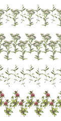 Set seamless rim with watercolor yarrow and clover on white background. Flower milfoil for card wedding invite. Summer or spring border for wallpaper or wrapping. Hand-drawn frame for sketchbook
