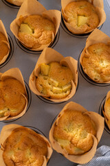 Apple sharlotka muffin