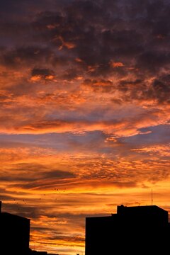 Orange sky