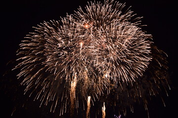 Fuegos artificiales