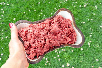 Natural dog food Bowl of raw meat in female hand on a background of nature green grass and flowers 
