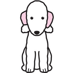 Bedlington Terrier Dog Breed Cartoon Kawaii Sketch Hand Drawn Watercolor Painting Silhouette Sticker Illustration Sublimation EPS Vector Graphic