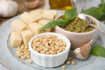 Tasty pesto sauce and ingredients on plate, closeup
