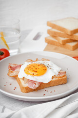Delicious sandwich with fried egg and bacon on light background