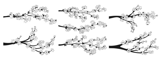 Cherry blossom outline sakura twigs with flowers collection. Elegant Japanese blooming branches plant with flowers set. Asian Chinese spring decorative cherry blossoming. Vector oriental illustration © neliakott