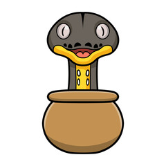 Cute platinum titanium reticulated python cartoon