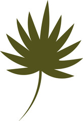Palm Leaf