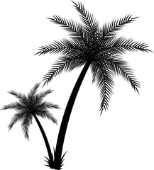 Fototapeta na wymiar Palm tree