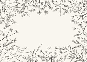 Rectangular frame with meadow herbs. Cover template with dry grass. Black and white. Line art. Botanical background with copy space. Layout border for greeting, postcards, logos, covers, labels.