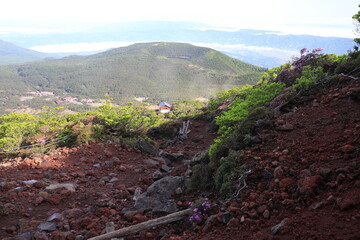韓国岳から眺めるえびの高原