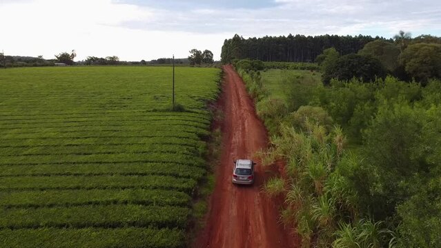 An aerial view of a vehicle passing through a countryside road with vineyards and forest and red soil, Salto Chavez, Campo Grande, Misiones, Argentina