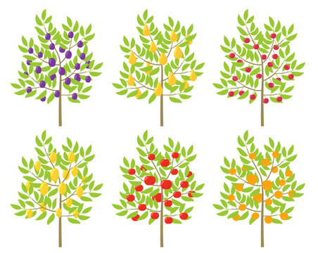 Set of fruit trees. Orchard set. Vector illustration.