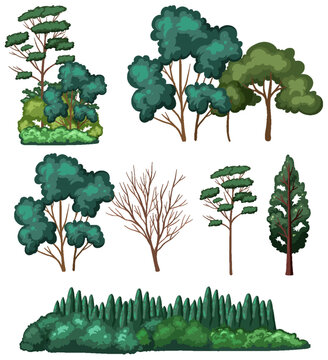 Set of tree isolated