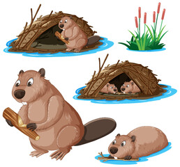 Set of beaver cartoon character - obrazy, fototapety, plakaty