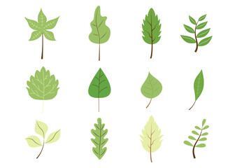 Green leaves flat set