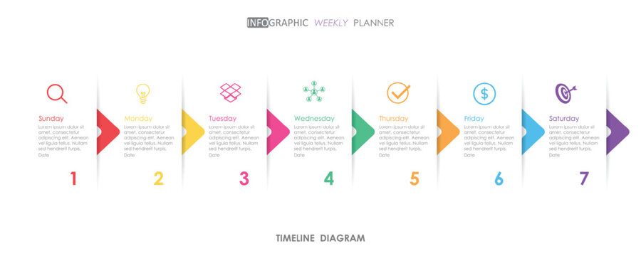 timeline weekly planner schedule project diagram Infographics template for business. 1 week 7 step modern Timeline schedule diagram with presentation vector timeline week infographic.

