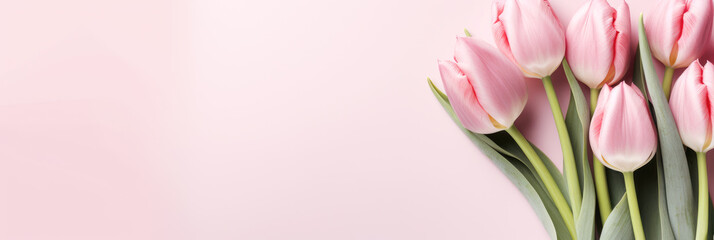 Fototapeta premium Tulip on pink background ,Generative ai