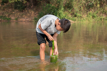 Asian boy holds freshwater algae that grows naturally in a river. Idea for studying nature, environmental conservation and observed the effect of higher temperature on the growth of underwater plants.